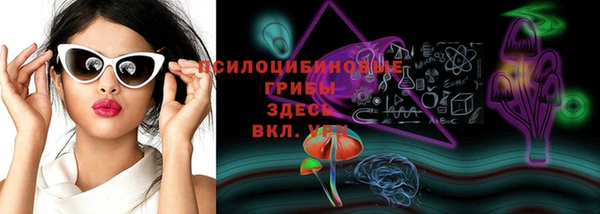сатива Белокуриха